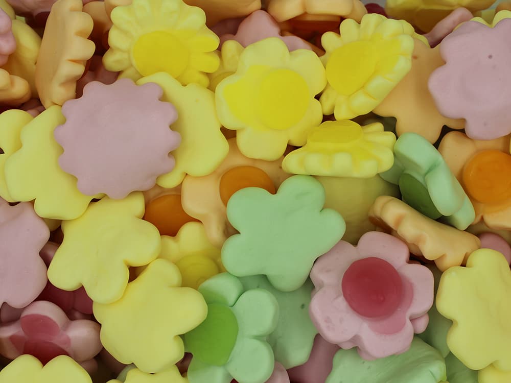 Happy Flowers