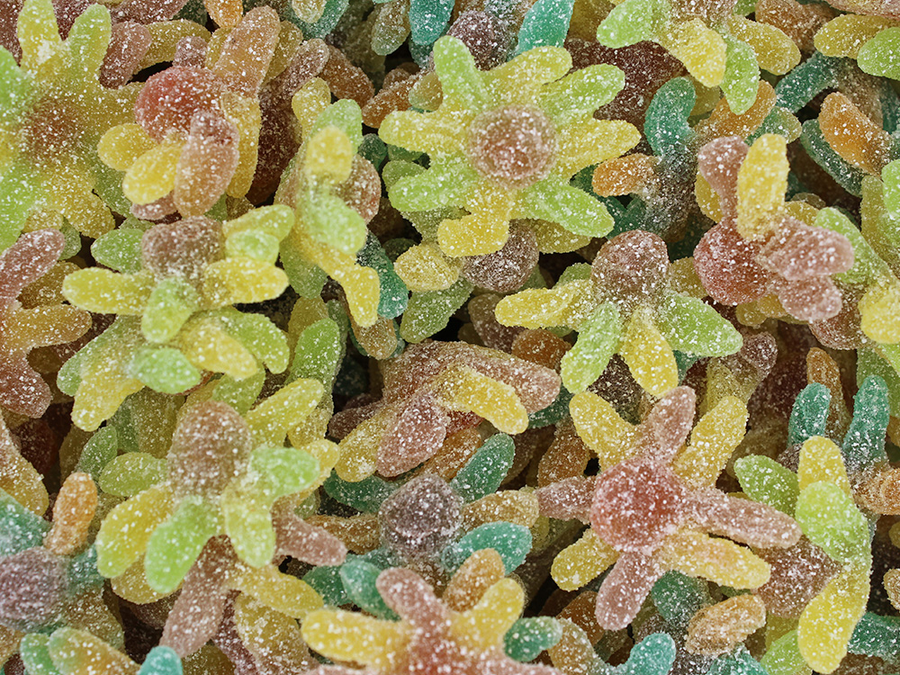 Sour Octopus